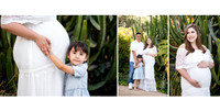 Martinez Maternity Album Proof