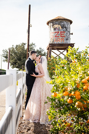 Anderson Wedding - 187