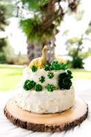Koncz-Quintana Baby Shower-055